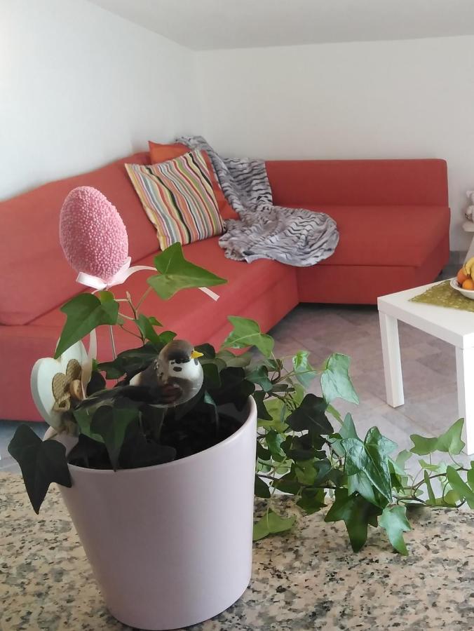 Apartments Nina Ravni Pokoj fotografie